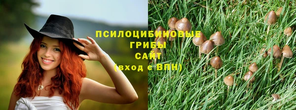 спайс Аркадак