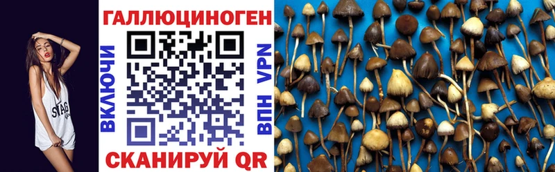 Галлюциногенные грибы MAGIC MUSHROOMS Обнинск