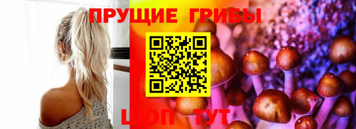 Псилоцибиновые грибы мухоморы  Вход с VPN  Обнинск  купить наркотики сайты  Псилоцибиновые грибы ЛСД 